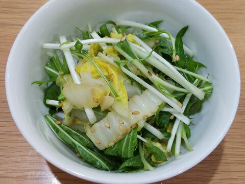 水菜と白菜のごまポンサラダ